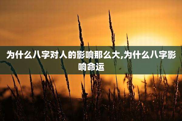 为什么八字对人的影响那么大,为什么八字影响命运