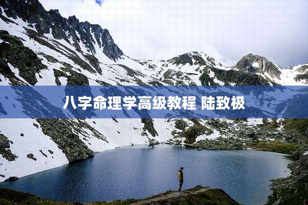 八字命理学高级教程 陆致极