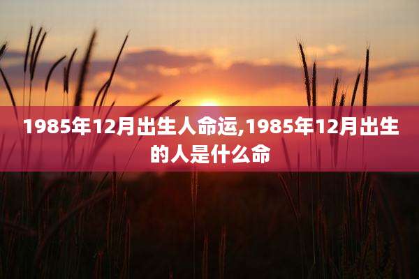 1985年12月出生人命运,1985年12月出生的人是什么命
