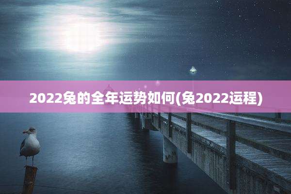 2022兔的全年运势如何(兔2022运程)