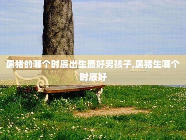 属猪的哪个时辰出生最好男孩子,属猪生哪个时辰好