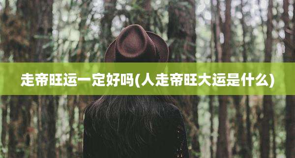 走帝旺运一定好吗(人走帝旺大运是什么)