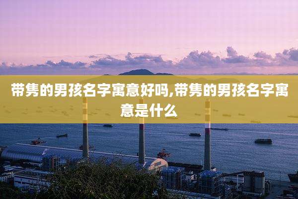带隽的男孩名字寓意好吗,带隽的男孩名字寓意是什么