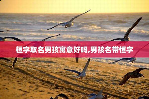 桓字取名男孩寓意好吗,男孩名带恒字