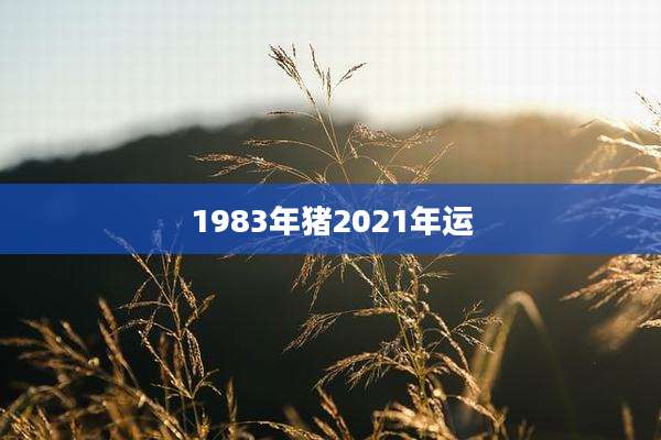 1983年猪2021年运