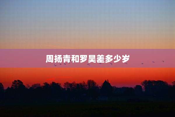 周扬青和罗昊差多少岁