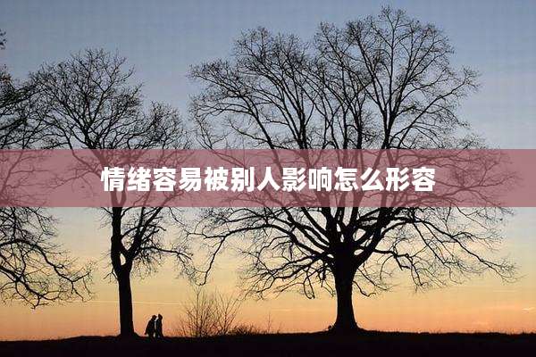 情绪容易被别人影响怎么形容