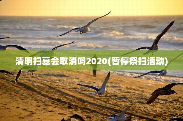 清明扫墓会取消吗2020(暂停祭扫活动)