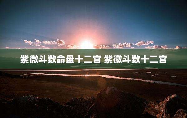 紫微斗数命盘十二宫 紫徽斗数十二宫
