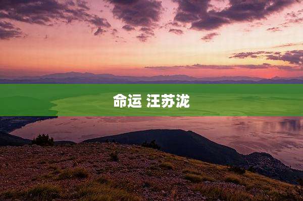 命运 汪苏泷