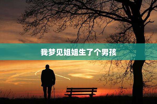 我梦见姐姐生了个男孩