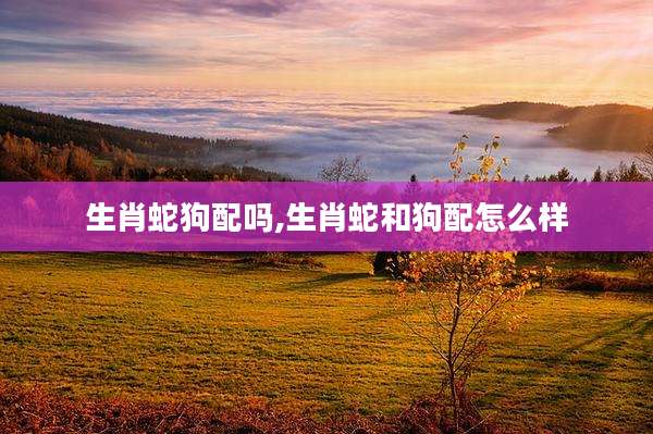 生肖蛇狗配吗,生肖蛇和狗配怎么样