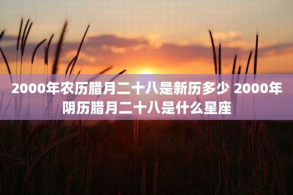 2000年农历腊月二十八是新历多少 2000年阴历腊月二十八是什么星座