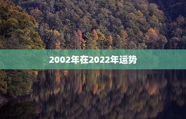2002年在2022年运势