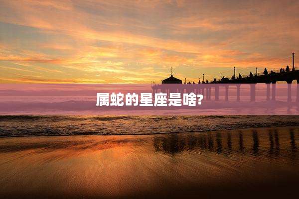 属蛇的星座是啥?