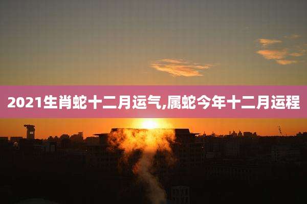 2021生肖蛇十二月运气,属蛇今年十二月运程