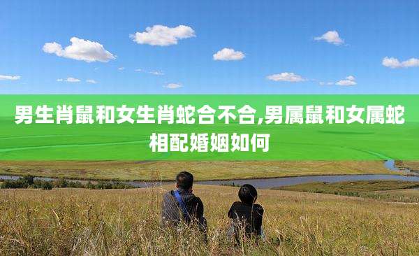 男生肖鼠和女生肖蛇合不合,男属鼠和女属蛇相配婚姻如何