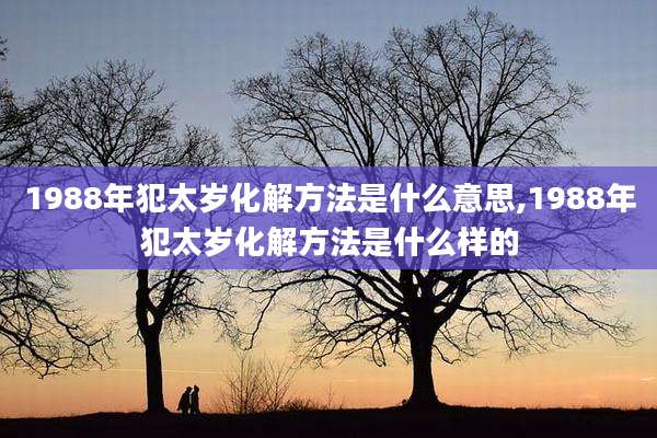 1988年犯太岁化解方法是什么意思,1988年犯太岁化解方法是什么样的