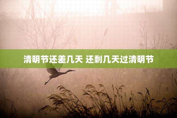 清明节还差几天 还剩几天过清明节