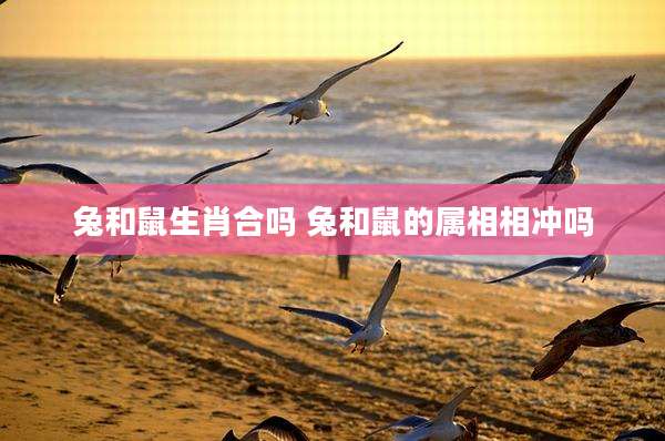 兔和鼠生肖合吗 兔和鼠的属相相冲吗