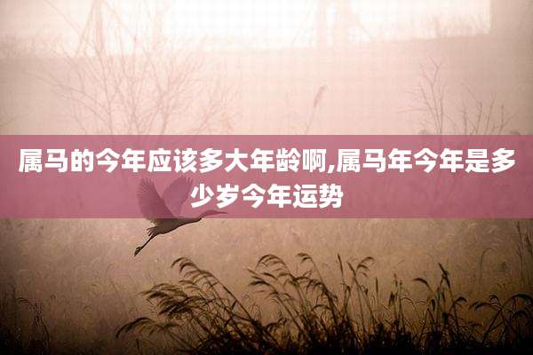 属马的今年应该多大年龄啊,属马年今年是多少岁今年运势