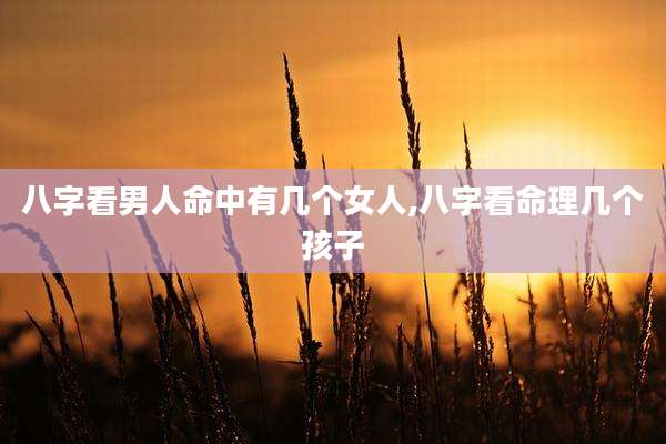八字看男人命中有几个女人,八字看命理几个孩子