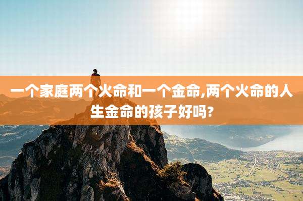 一个家庭两个火命和一个金命,两个火命的人生金命的孩子好吗?