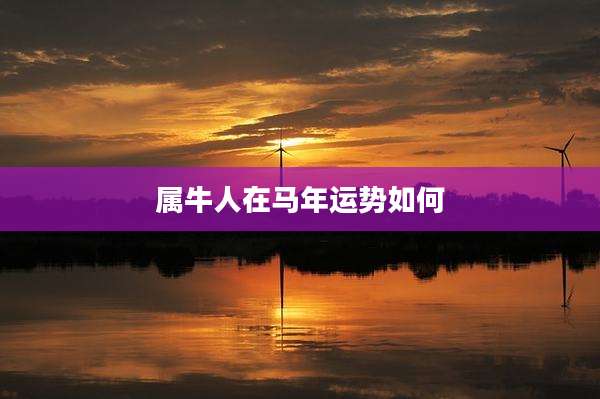 属牛人在马年运势如何