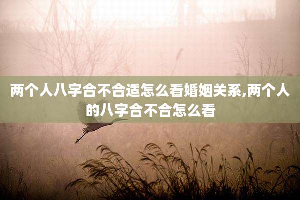 两个人八字合不合适怎么看婚姻关系,两个人的八字合不合怎么看