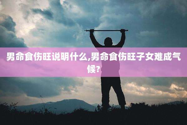 男命食伤旺说明什么,男命食伤旺子女难成气候?