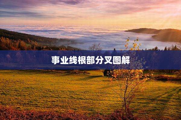 事业线根部分叉图解