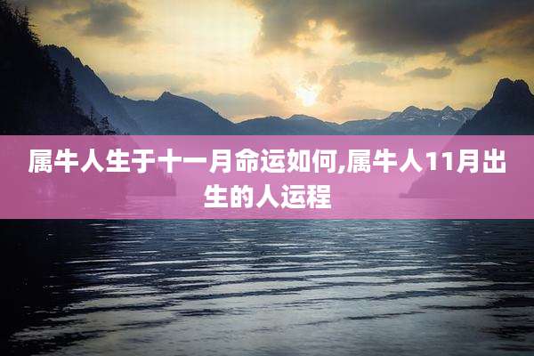 属牛人生于十一月命运如何,属牛人11月出生的人运程