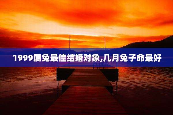1999属兔最佳结婚对象,几月兔子命最好