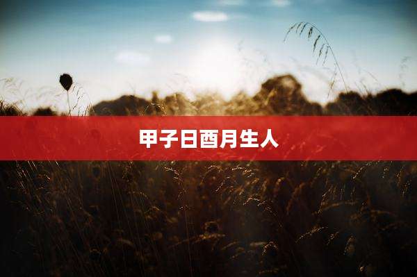 甲子日酉月生人