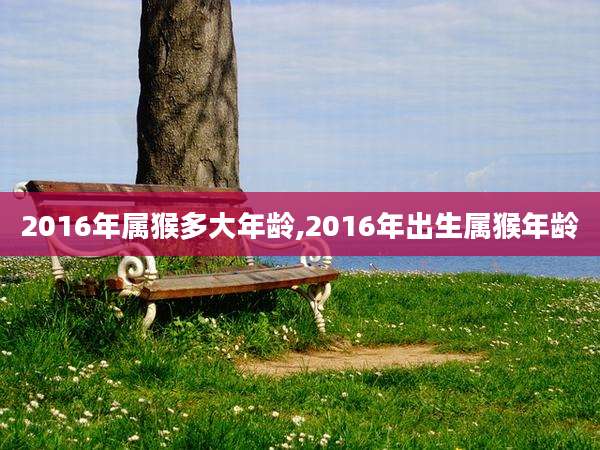 2016年属猴多大年龄,2016年出生属猴年龄