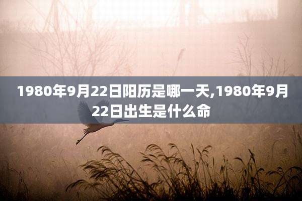 1980年9月22日阳历是哪一天,1980年9月22日出生是什么命