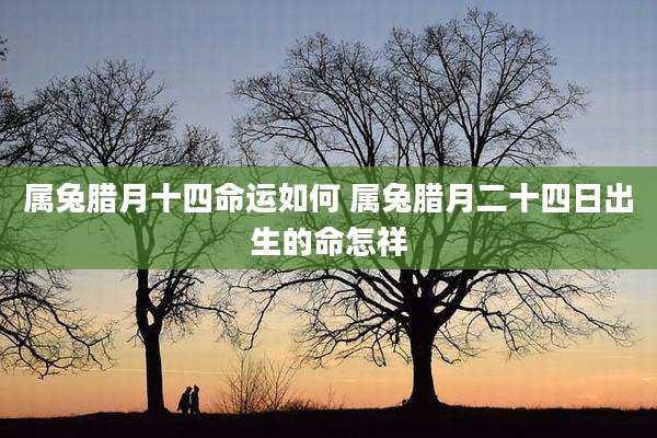 属兔腊月十四命运如何 属兔腊月二十四日出生的命怎祥