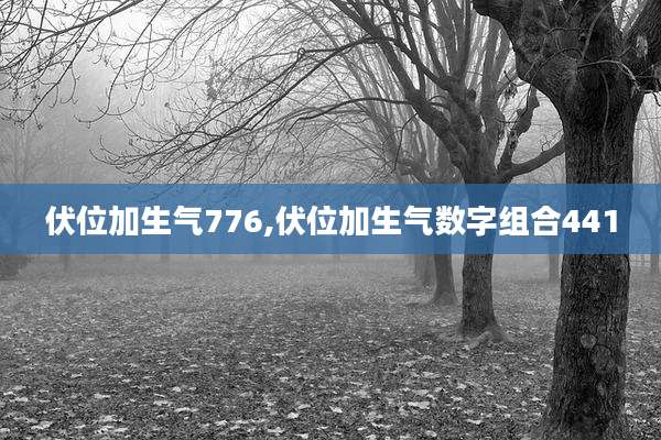 伏位加生气776,伏位加生气数字组合441