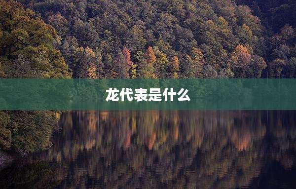 龙代表是什么