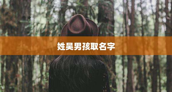 姓吴男孩取名字