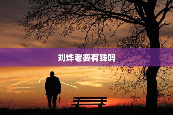 刘烨老婆有钱吗