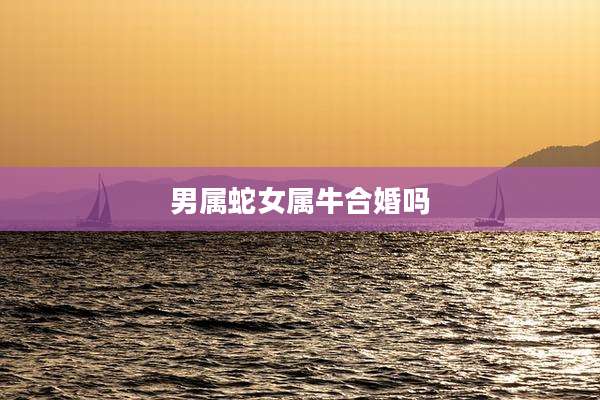 男属蛇女属牛合婚吗