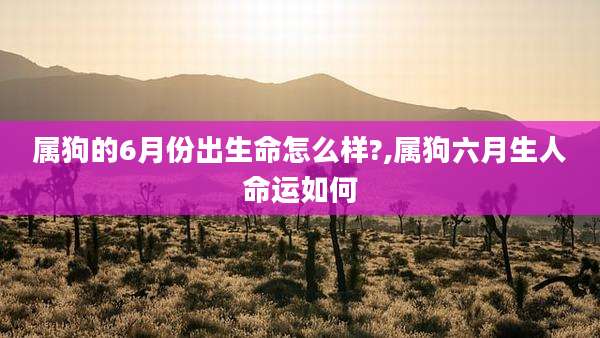 属狗的6月份出生命怎么样?,属狗六月生人命运如何