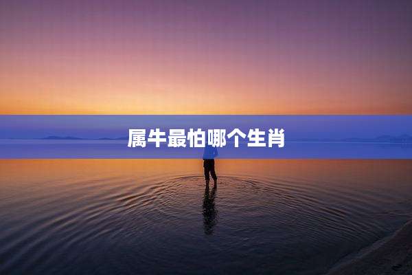 属牛最怕哪个生肖