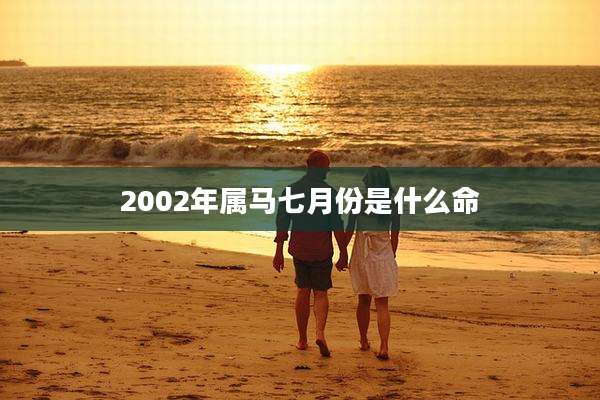 2002年属马七月份是什么命