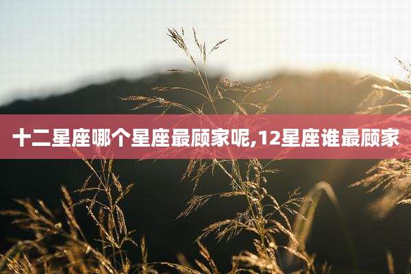 十二星座哪个星座最顾家呢,12星座谁最顾家