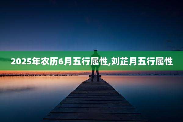 2025年农历6月五行属性,刘芷月五行属性