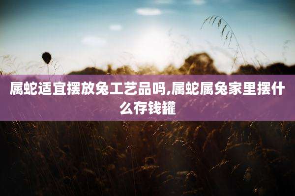 属蛇适宜摆放兔工艺品吗,属蛇属兔家里摆什么存钱罐