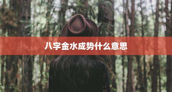 八字金水成势什么意思