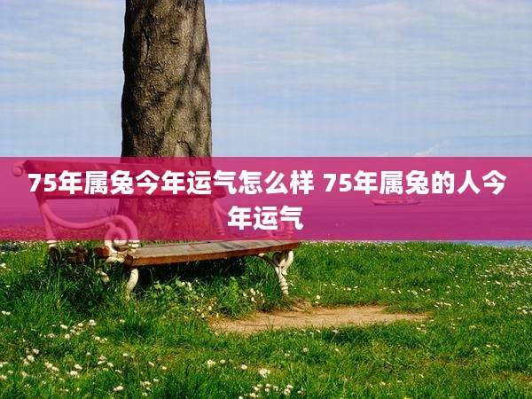 75年属兔今年运气怎么样 75年属兔的人今年运气